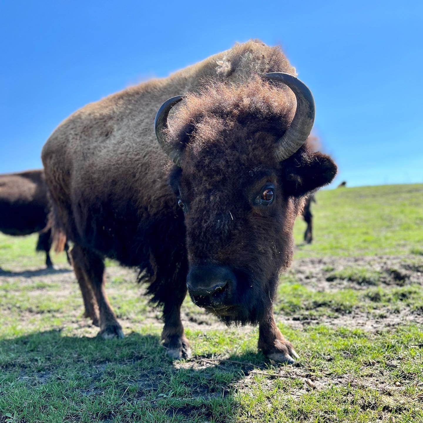 When does college pay off for low-income students? 3 05b42c3d cfce 4819 876e