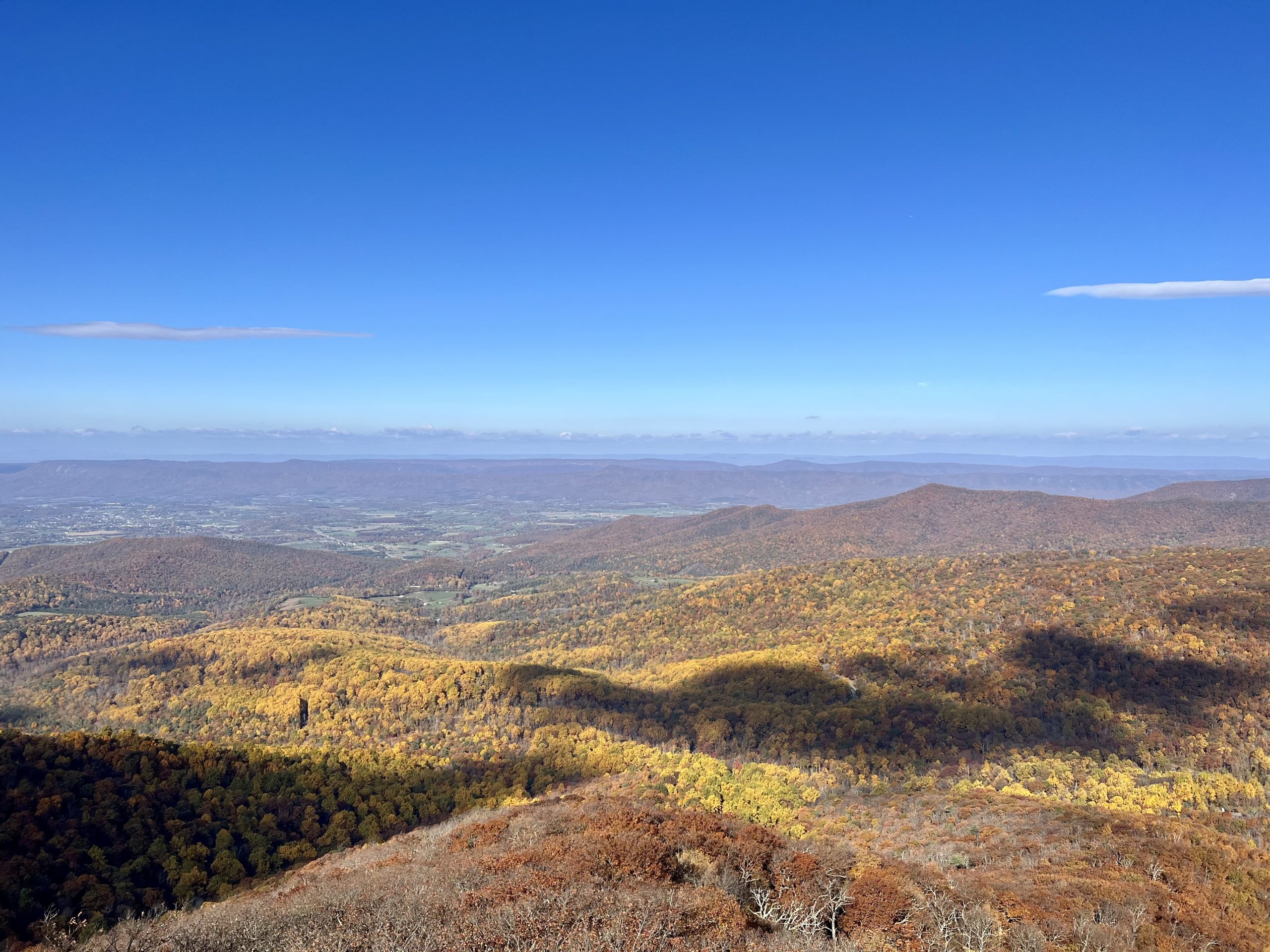 0e5814b1 babd 45c5 97d4 57b01b0ae3a6 4032x3024 scaled