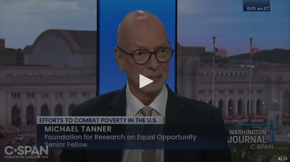 0ef80de2 01ee 4d1a 849e