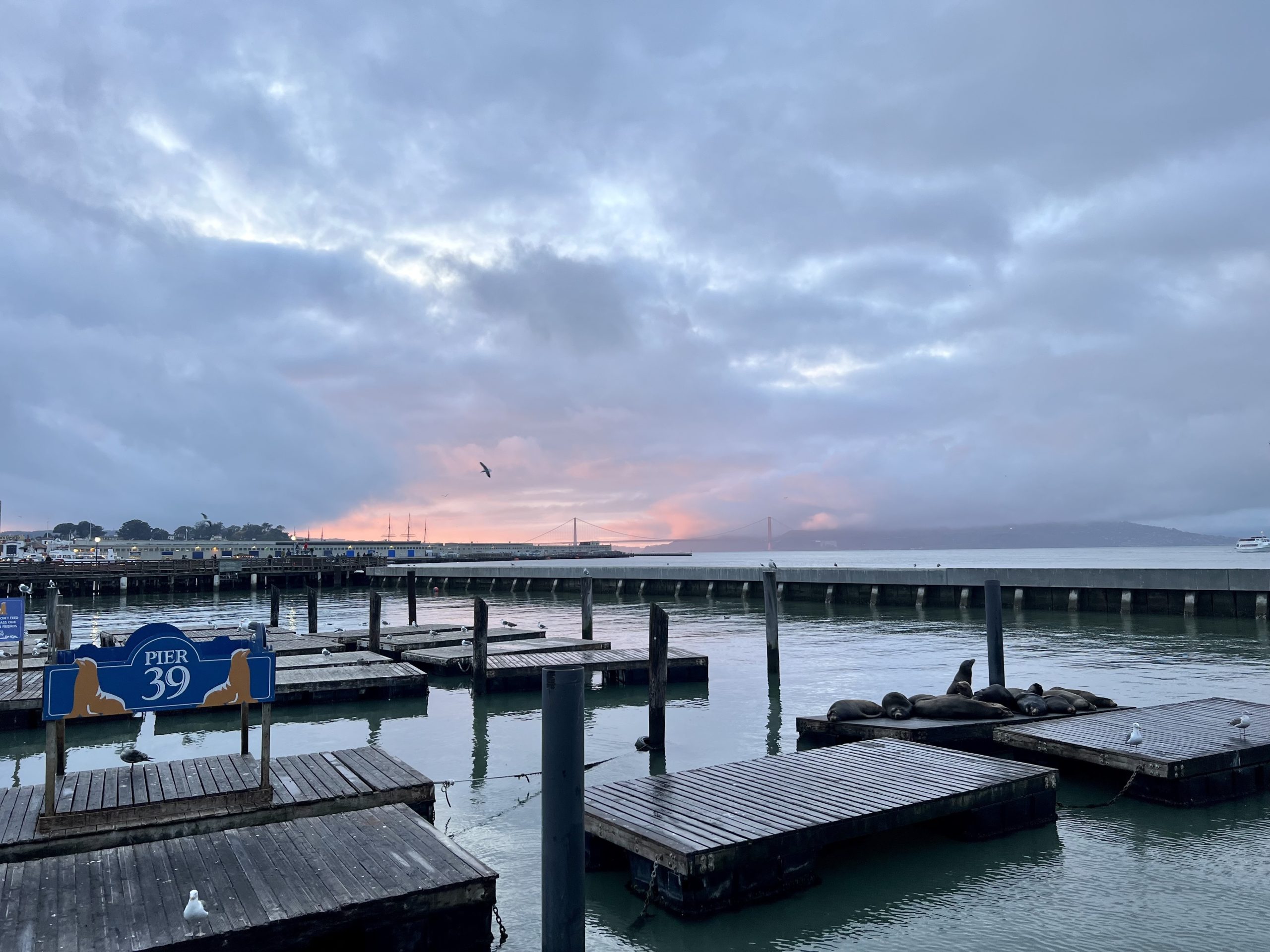 1affccd9 1a38 4186 a5f3 b79c8ea0960a 4032x3024 scaled