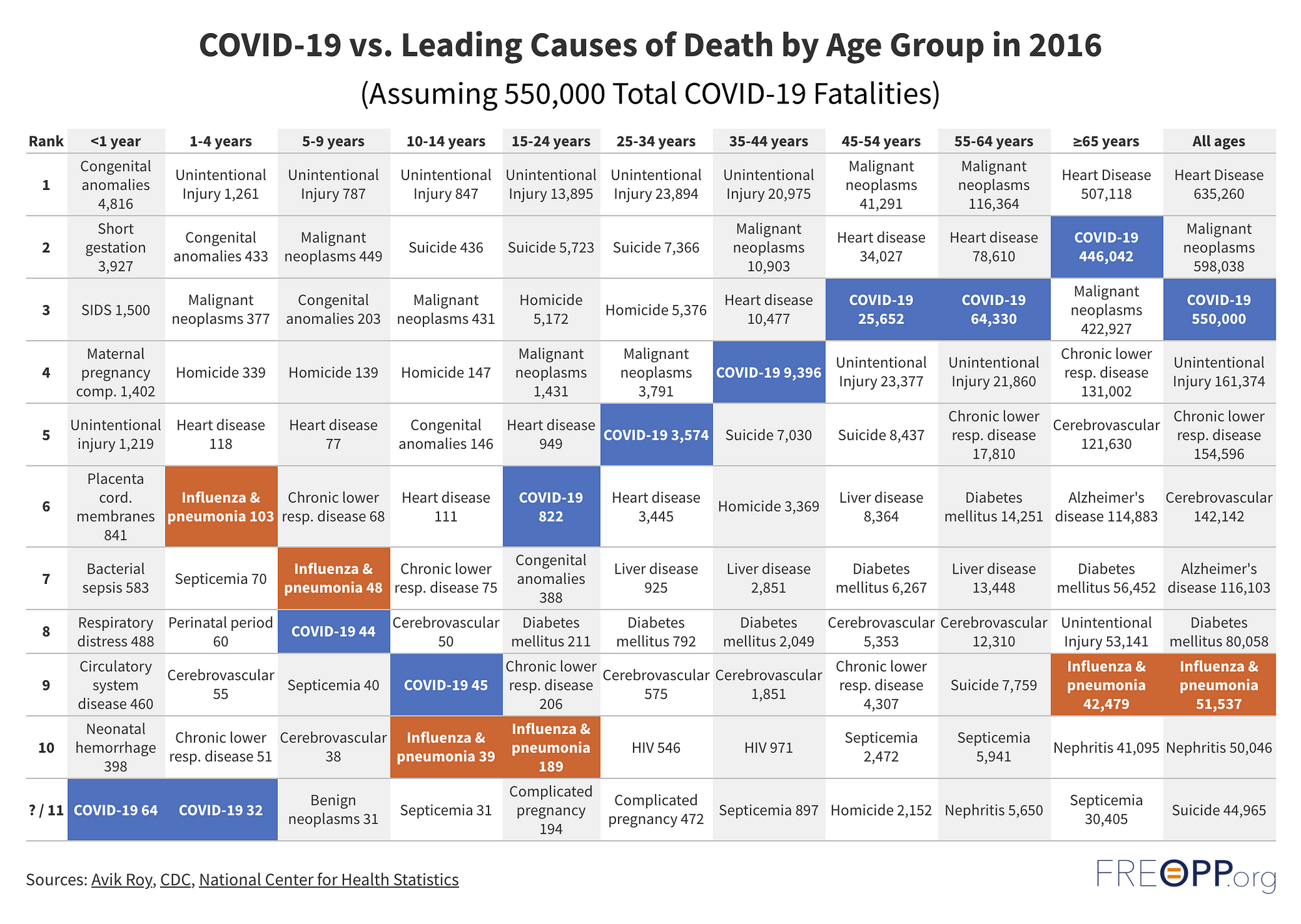 1dnyni6iawakv5hjlggsubg