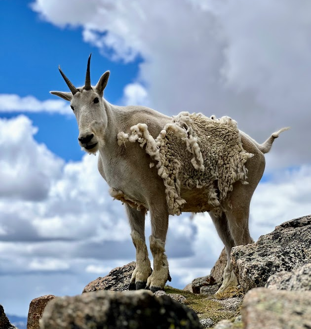 72e33922 beae 4209 984a