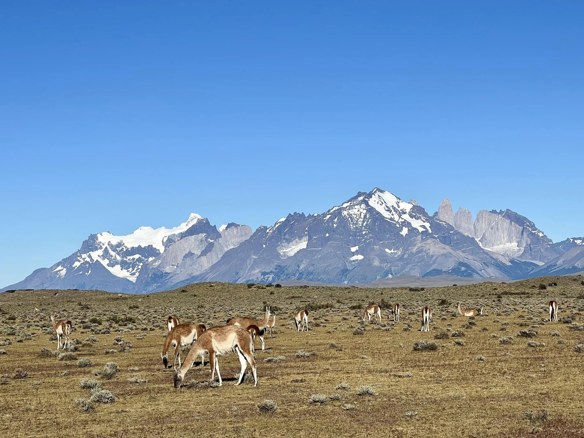 86fb244f 90f4 45a9 819f